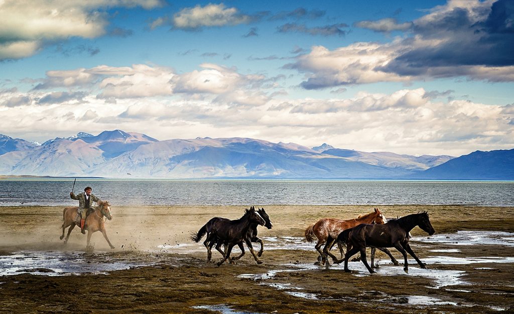 Marco, horses and Lago Argentino